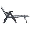 Folding Sun Lounger Plastic Anthracite(D0102HEJMVU)