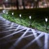 12 Pcs LED Stainless Steel Outdoor Garden Solar Lights for Pathway Walkway Patio Yard Lawn Cool White XH(D0102HPZYB7)