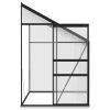 Greenhouse Anthracite Aluminum 140.1 ft(D0102HPZLYA)