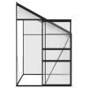 Greenhouse Anthracite Aluminum 3.8 ft(D0102HPZLFG)