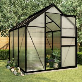 Greenhouse with Base Frame Anthracite Aluminum 38.9 ftÃ‚Â²(D0102HPZLZ7)