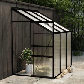 Greenhouse Anthracite Aluminum 3.8 ft(D0102HPZLFG)