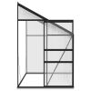 Greenhouse Anthracite Aluminum 185 ft(D0102HPZLYV)