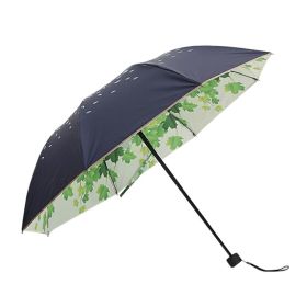 Fashionable Folding Umbrella Double-deck UV Protection Umbrella Outdoors Parasol #12(D0101HRIVCW)