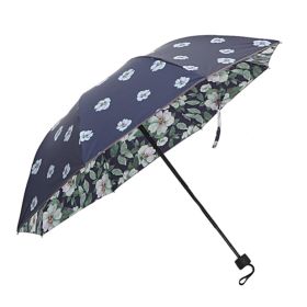 Fashionable Folding Umbrella Double-deck UV Protection Umbrella Outdoors Parasol #03(D0101HRIVJA)