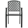 Stackable Outdoor Chairs 2 pcs Steel Black(D0102HEJLCA)