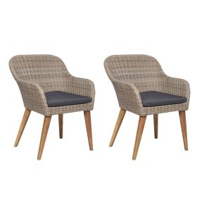 Outdoor Chairs with Cushions 2 pcs Poly Rattan Brown(D0102HEJQ4G)
