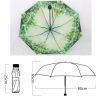 Fashionable Folding Umbrella Double-deck UV Protection Umbrella Outdoors Parasol #17(D0101HRIV1A)