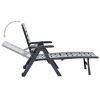 Folding Sun Lounger Plastic Anthracite(D0102HEJMVU)