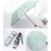 Fashionable Folding Umbrella Double-deck UV Protection Umbrella Outdoors Parasol #01(D0101HRIV0Y)